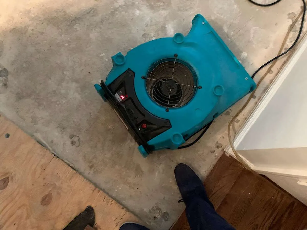 Air mover drying subfloor during Commercial Water Damage Restoration in Urban Honolulu
